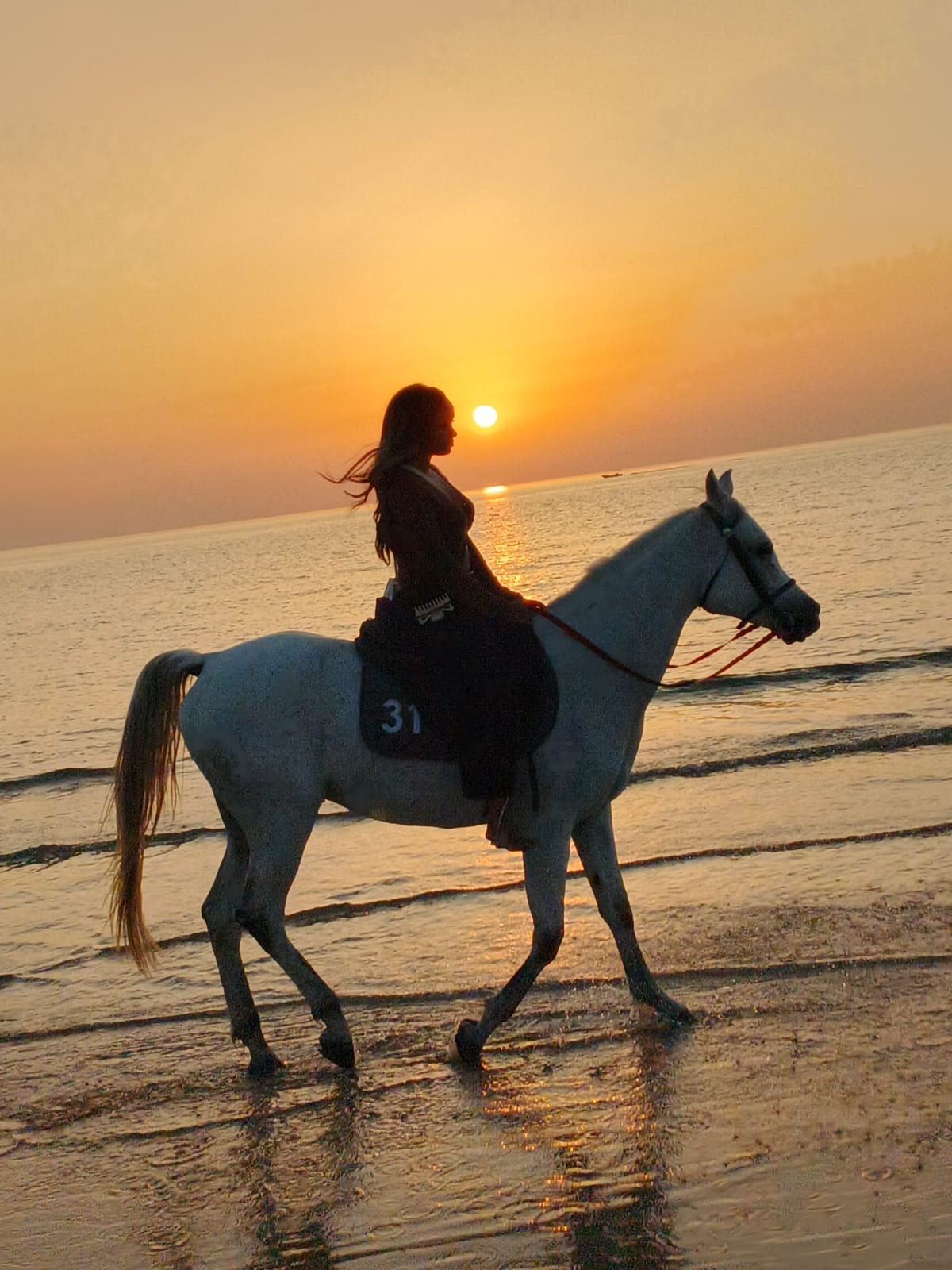 Weißer Araber am Strand